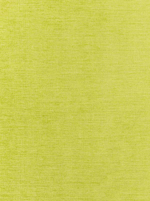 Aura Spring Green Fabric W80277 by Thibaut Fabrics for sale at Wallpapers To Go