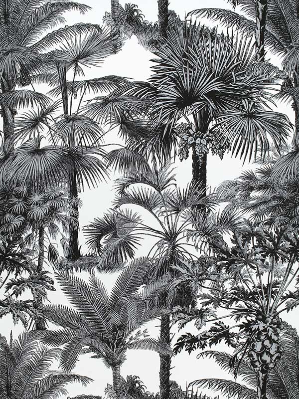Palm Botanical Black Fabric F910102 by Thibaut Fabrics for sale at Wallpapers To Go