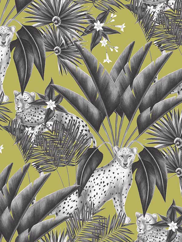 Jungle Cheetah Grey Wallpaper WLD53105W by OhPopsi Wallpaper for sale at Wallpapers To Go