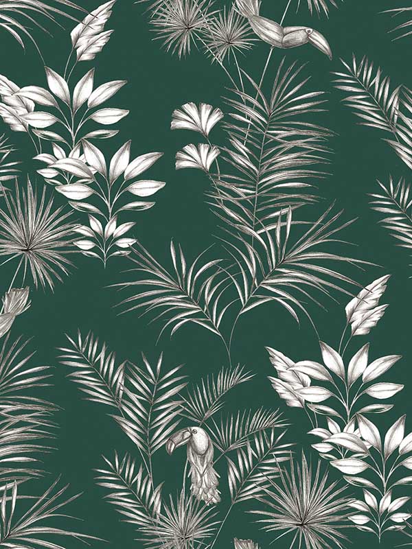 Toucan Toile Green Wallpaper WLD53111W by OhPopsi Wallpaper for sale at Wallpapers To Go