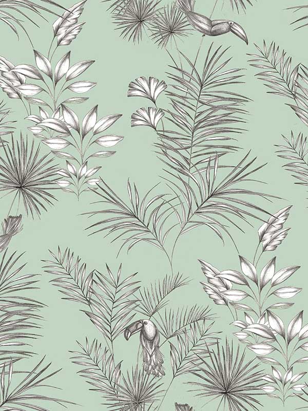 Toucan Toile Mint Wallpaper WLD53113W by OhPopsi Wallpaper for sale at Wallpapers To Go