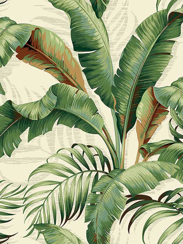 Palmiers Aloe Peel and Stick Wallpaper WTG-242812 by Tommy Bahama Wallpaper for sale at Wallpapers To Go
