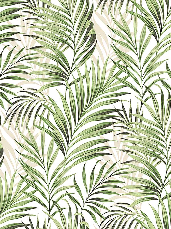 Tranquillo Aloe Peel and Stick Wallpaper WTG-242833 by Tommy Bahama Wallpaper for sale at Wallpapers To Go