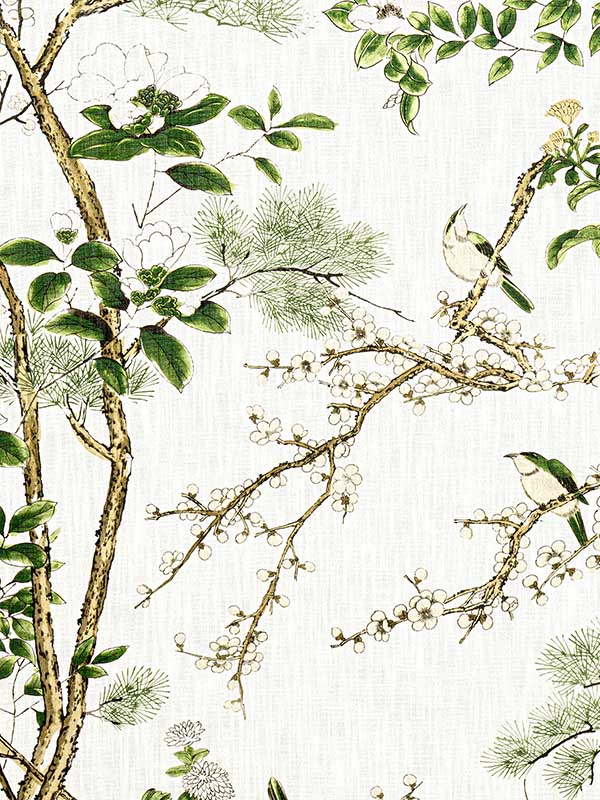 Katsura Green and White Fabric WTG-243397 by Thibaut Fabrics for sale at Wallpapers To Go