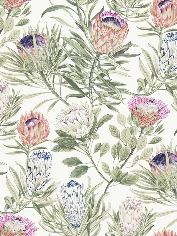Protea White and Fuchsia Wallpaper WTG-254003 by York Wallpaper for sale at Wallpapers To Go