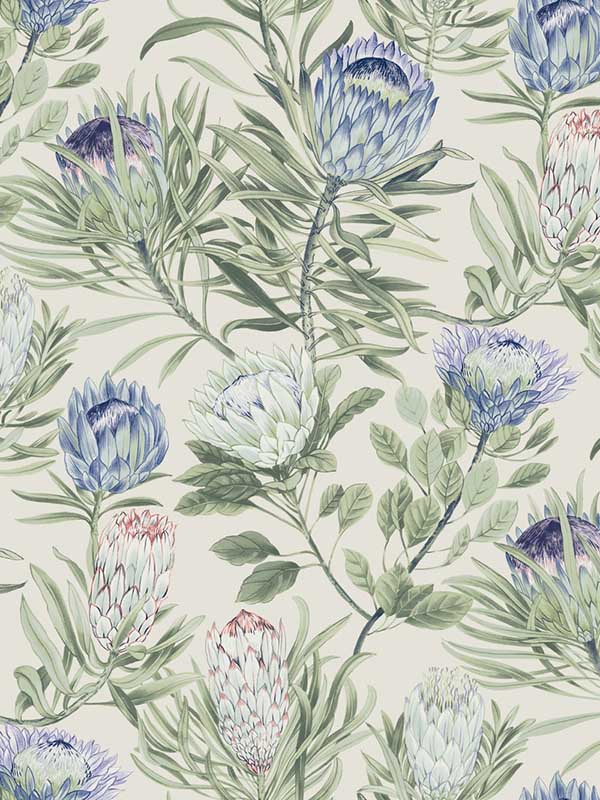 Protea Cream and Blue Wallpaper WTG-254004 by York Wallpaper for sale at Wallpapers To Go