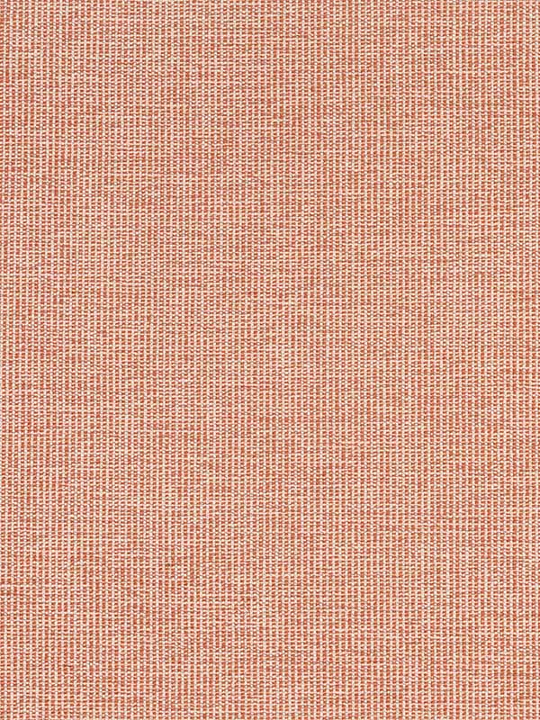 Sacchi Terracotta Fabric WTG-255195 by Thibaut Fabrics for sale at Wallpapers To Go