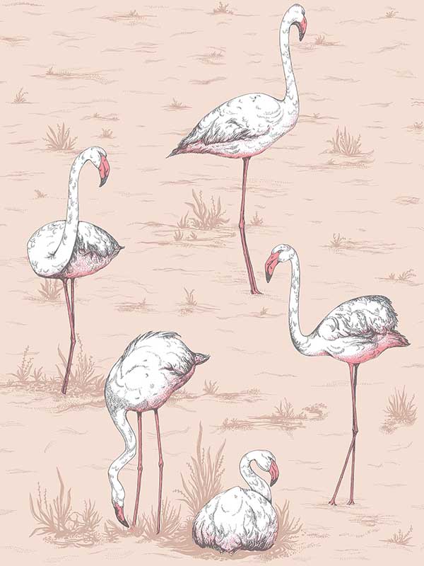 Flamingos Plaster Pink Wallpaper WTG-260693 by Cole and Son Wallpaper for sale at Wallpapers To Go