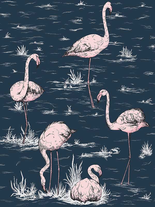 Flamingos Ink Plaster Pink Wallpaper WTG-260695 by Cole and Son Wallpaper for sale at Wallpapers To Go