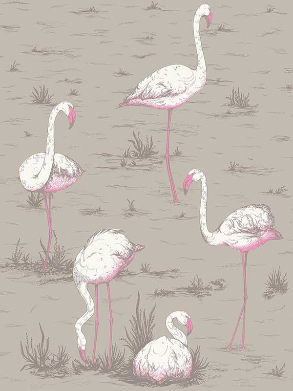 Flamingos Grey Wallpaper WTG-260843 by Cole and Son Wallpaper for sale at Wallpapers To Go