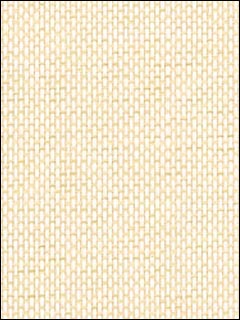 Thibaut Grasscloth Resource Wallpaper T5042 by Thibaut Wallpaper for sale at Wallpapers To Go