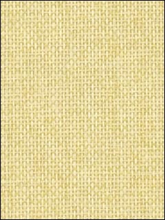 Thibaut Grasscloth Resource Wallpaper T5045 by Thibaut Wallpaper for sale at Wallpapers To Go
