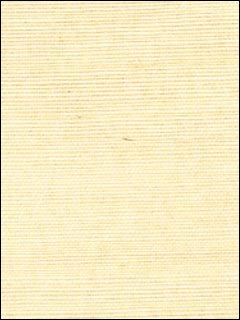 Thibaut Grasscloth Resource Wallpaper T5029 by Thibaut Wallpaper for sale at Wallpapers To Go