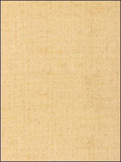 Bankun Raffia Straw Wallpaper T6813 by Thibaut Wallpaper for sale at Wallpapers To Go