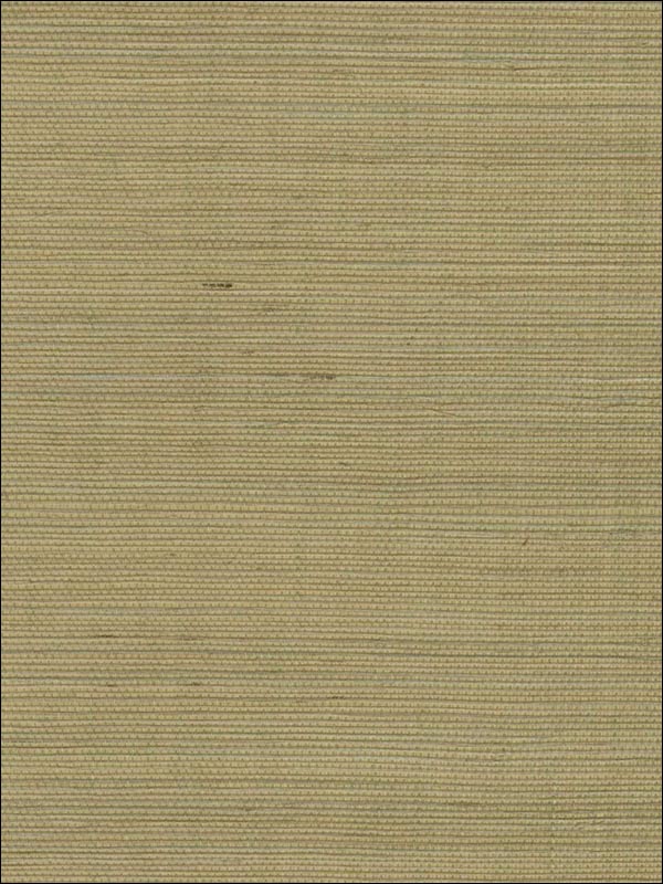 Sisal Wallpaper WND108 by Astek Wallpaper for sale at Wallpapers To Go