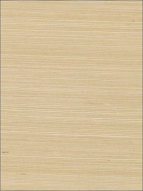 Sisal Wallpaper WND118 by Astek Wallpaper for sale at Wallpapers To Go