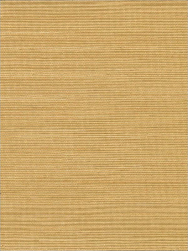 Sisal Wallpaper WND120 by Astek Wallpaper for sale at Wallpapers To Go