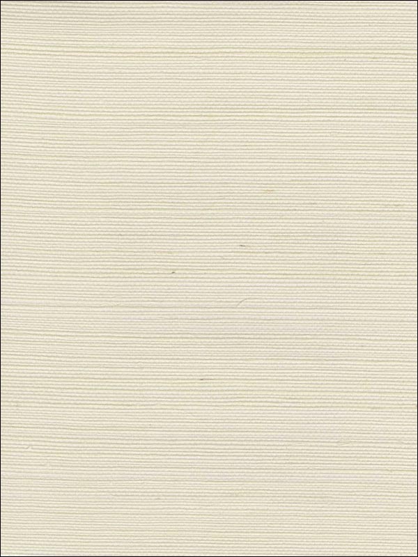 Sisal Wallpaper WND122 by Astek Wallpaper for sale at Wallpapers To Go