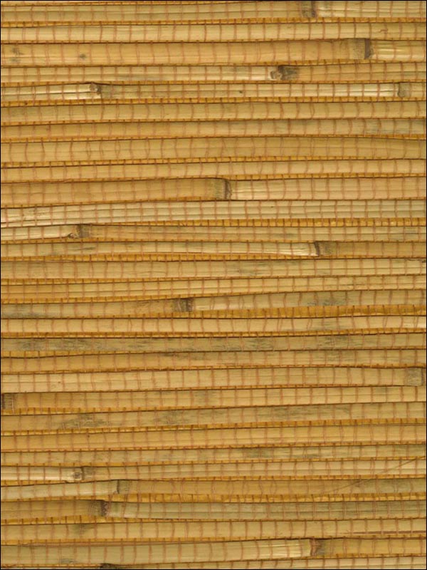 Bamboo Wallpaper WND167 by Astek Wallpaper for sale at Wallpapers To Go