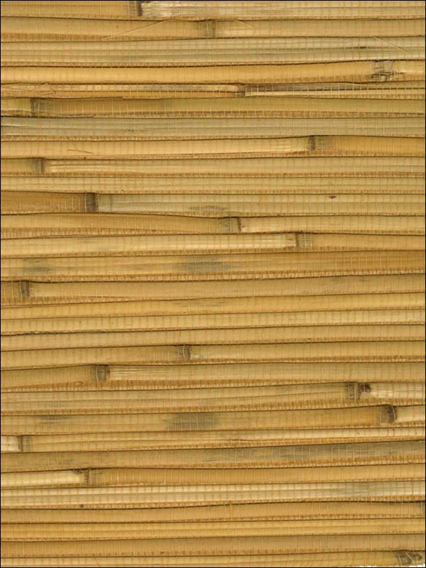 Bamboo Wallpaper WND168 by Astek Wallpaper for sale at Wallpapers To Go