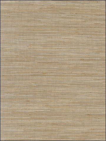 St Martin Taupe Grasscloth Wallpaper T3617 by Thibaut Wallpaper for sale at Wallpapers To Go