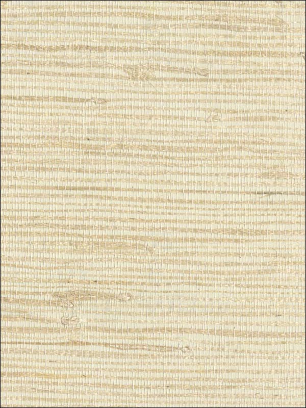Grasscloth Wallpaper NB170 by Astek Wallpaper for sale at Wallpapers To Go