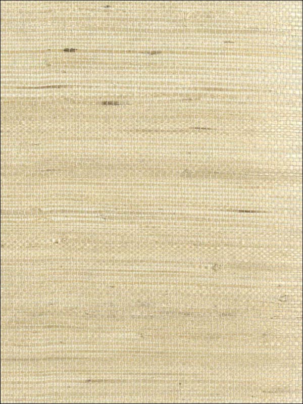 Grasscloth Wallpaper NC260 by Astek Wallpaper for sale at Wallpapers To Go