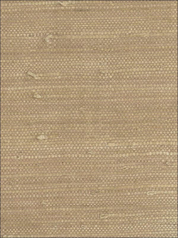Grasscloth Wallpaper NC270 by Astek Wallpaper for sale at Wallpapers To Go