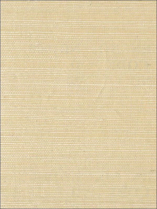 Grasscloth Wallpaper ND1000 by Astek Wallpaper for sale at Wallpapers To Go