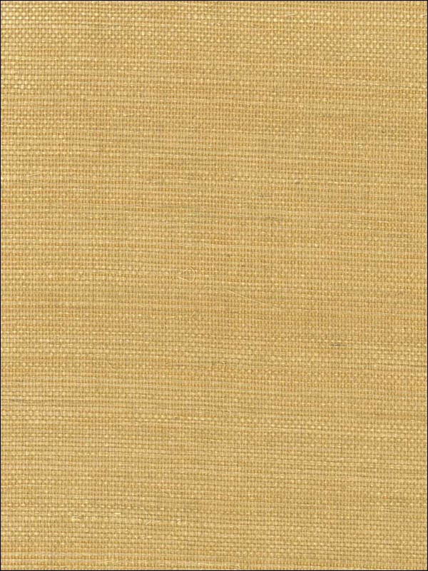 Grasscloth Wallpaper ND1021 by Astek Wallpaper for sale at Wallpapers To Go
