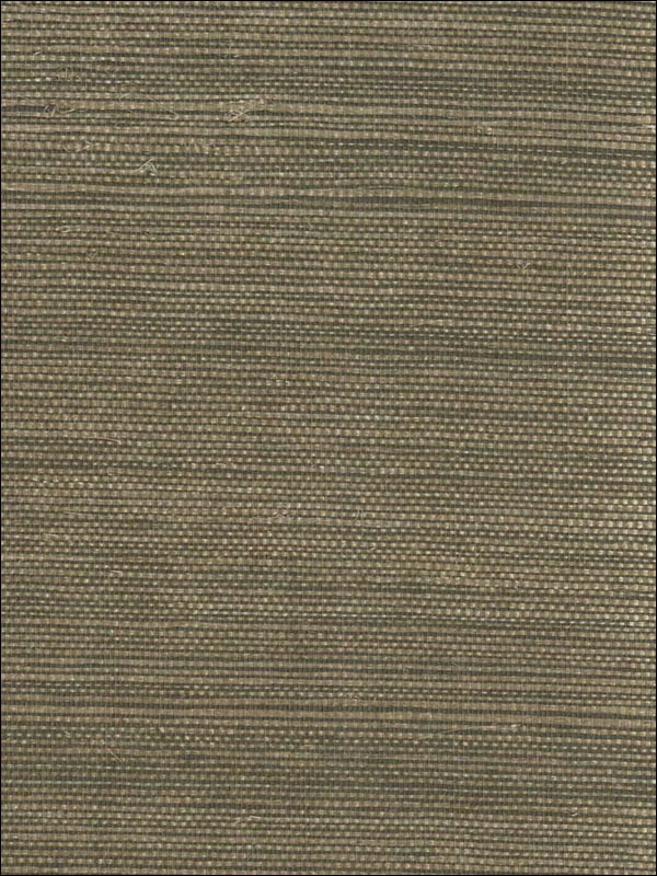 Grasscloth Wallpaper ND1025 by Astek Wallpaper for sale at Wallpapers To Go