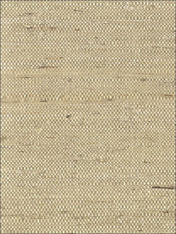 Grasscloth Wallpaper NJ059 by Astek Wallpaper for sale at Wallpapers To Go