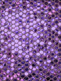 Hollywood Dazzle Purple Wallpaper HD313